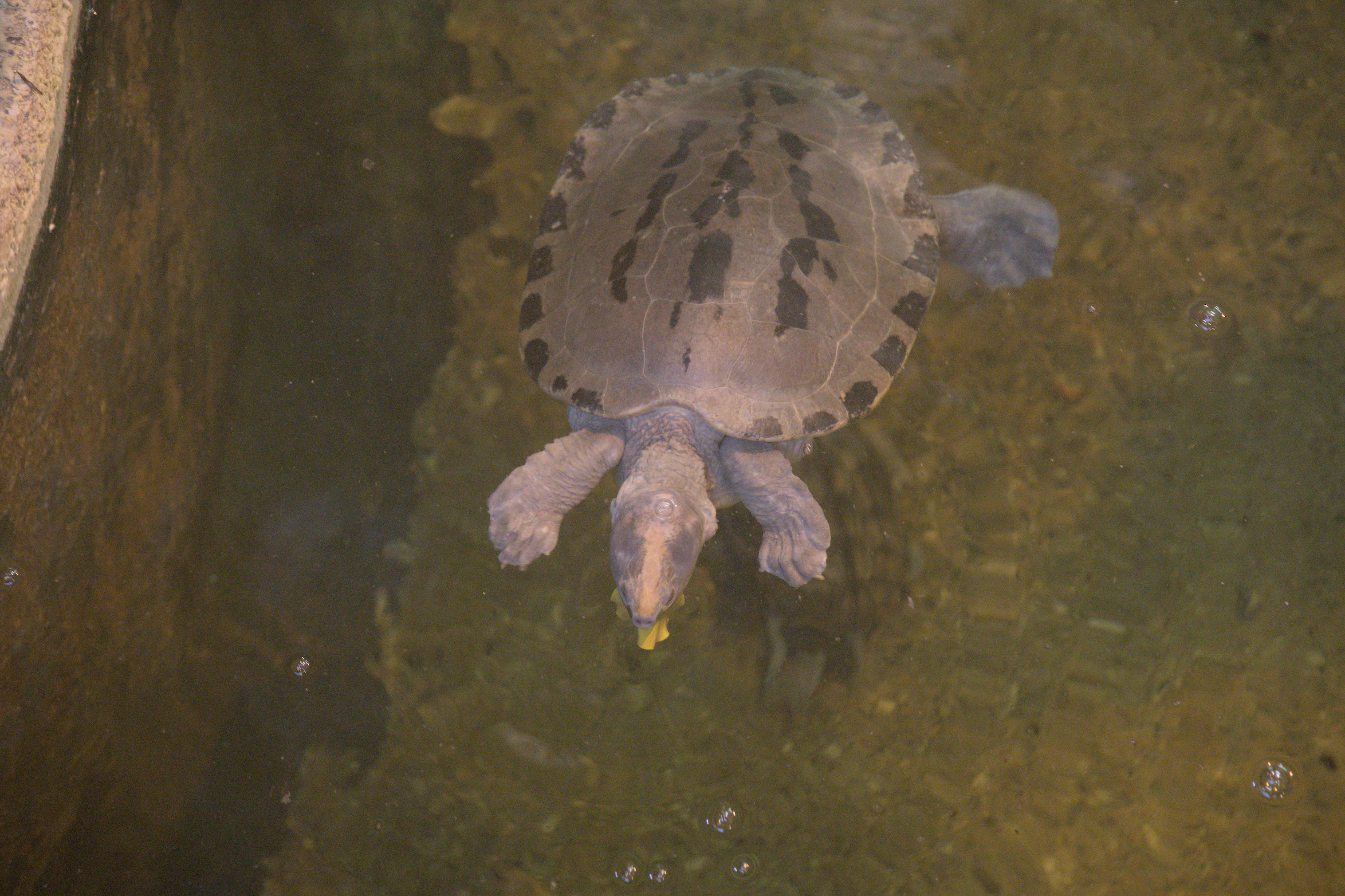 2025/10/12 - zoo/DSC_0143.jpg